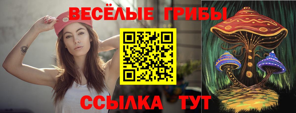 продажа наркотиков  Вход с VPN  Ржев  Галлюциногенные грибы MAGIC MUSHROOMS 